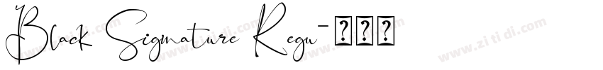 Black Signature Regu字体转换